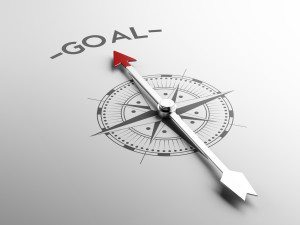 REM Quality Goal