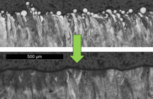 SEM-Cross-Section-Before-After Extreme ISF