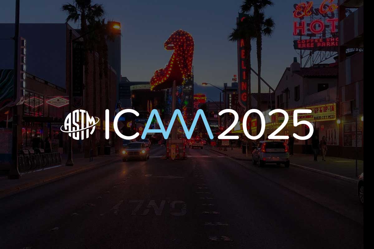 ICAM 2025
